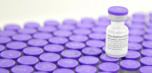 Capital recebe a segunda remessa de vacinas da Pfizer