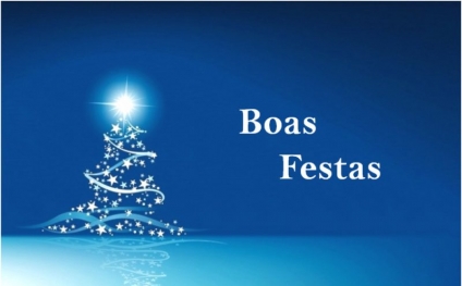 BOAS FESTAS E UM FELIZ ANO NOVO!
