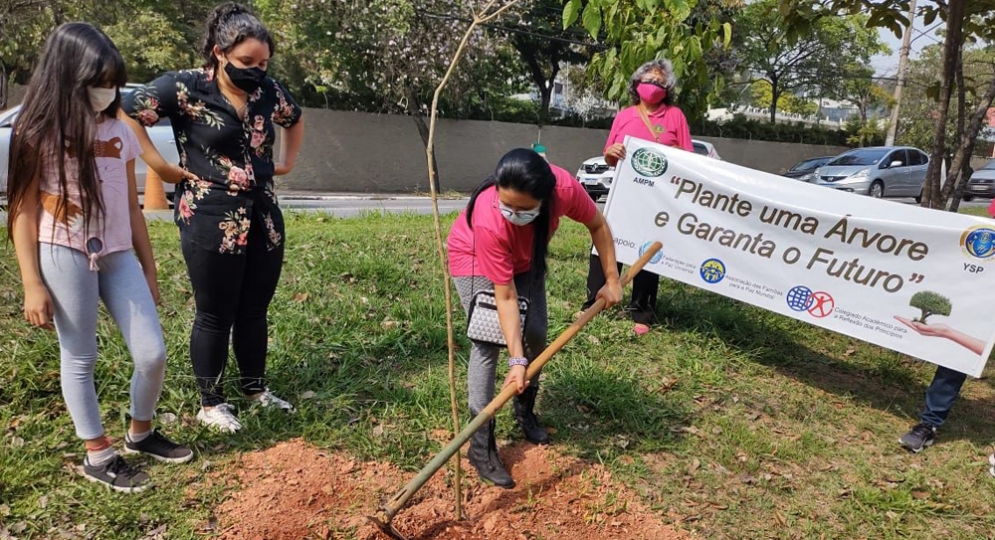 Na semana da &aacute;rvore Prefeitura de Osasco planta 471 mudas em toda cidade