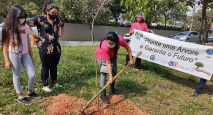 Na semana da árvore Prefeitura de Osasco planta 471 mudas em toda cidade