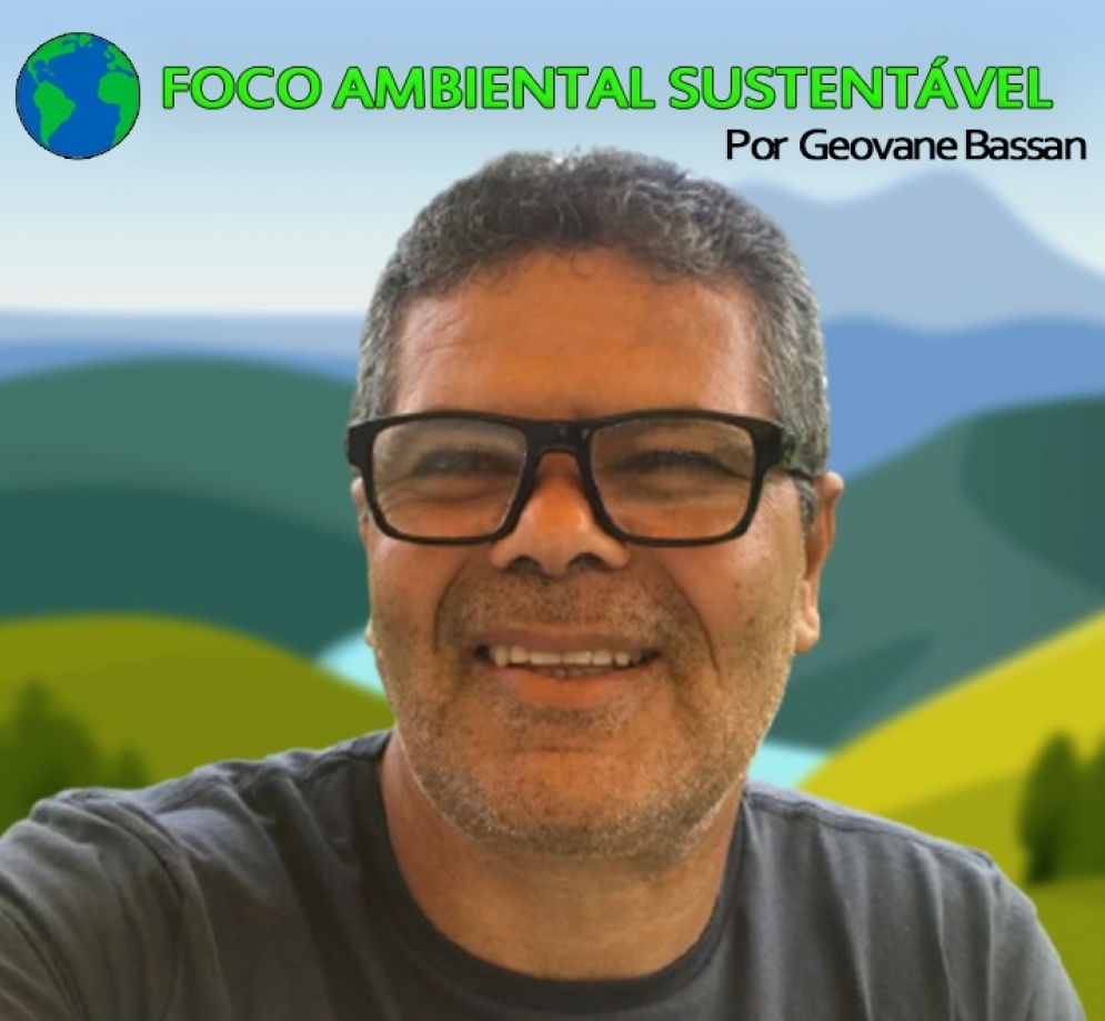Foco Ambiental Sustent&aacute;vel - 21 de setembro dia da &aacute;rvore
