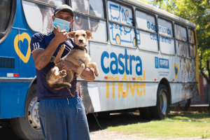 Encerra hoje a inscri&ccedil;&atilde;o online para castra&ccedil;&otilde;es de pets