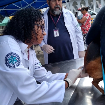 Departamento de Zoonoses inicia agendamento para vacinar cães e gatos