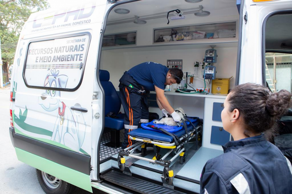 Centro de Prote&ccedil;&atilde;o ao Animal Dom&eacute;stico realiza resgate emergencial