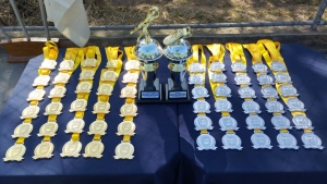 Juventus &eacute; o campe&atilde;o de Futebol Veterin&iacute;ssimo